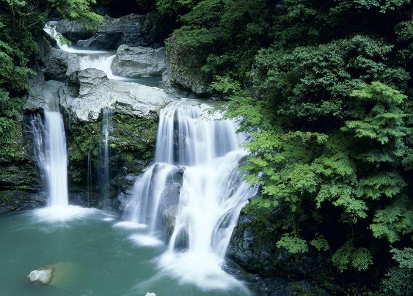 帕克合众银行盘中异动 股价大涨5.72%